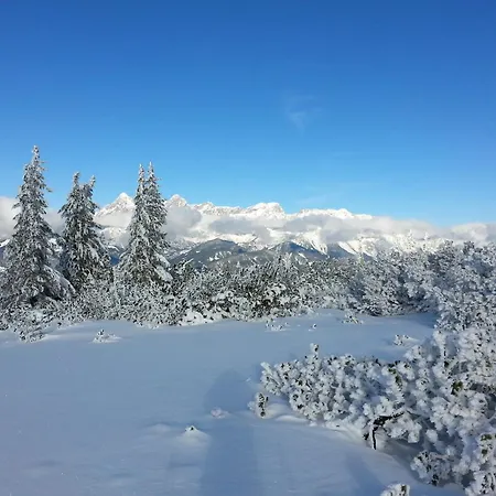 Dahoam Apartman Forstau