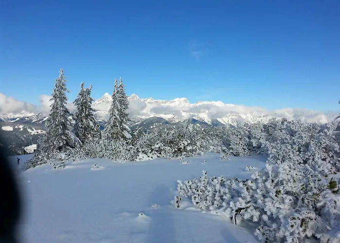 Dahoam Apartment Forstau (Salzburg)